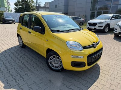 8299 img