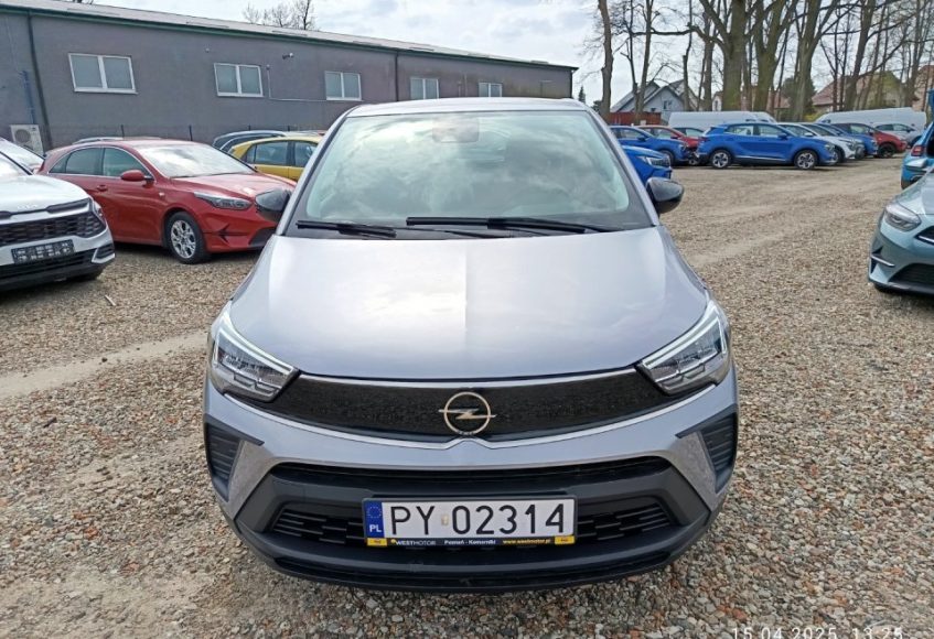 8504 img 20250415